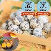 【送料一律！】命のカプセル（うずら生卵と燻製玉子）セット