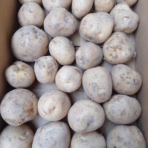 ジャガイモ（男爵）1.8ｋｇ/Ｓサイズ（27～30個入）【農薬不使用】