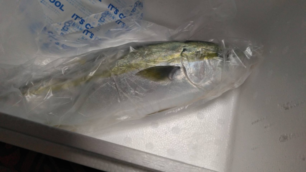 最も好ましい ワカシ 刺身 人気の壁紙画像 Hdr