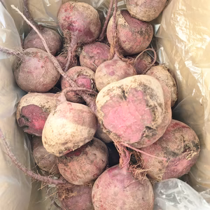 ビーツ　情熱の赤色　サイズミックス　大満足4.5キロ　