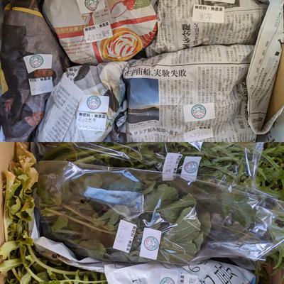 みんなの投稿の画像