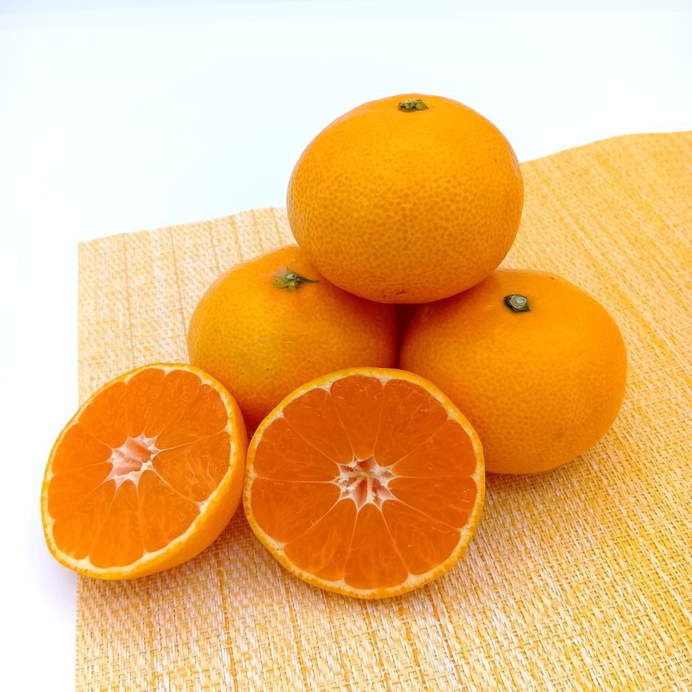 秋が旬！『早みかん』【小玉サイズ】｜みかんの商品詳細｜ポケット