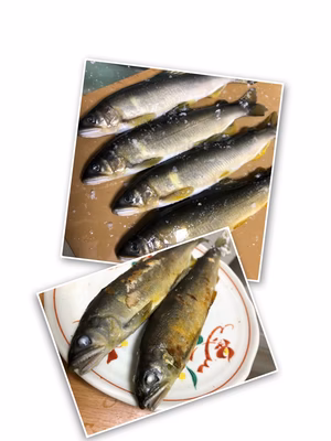 みんなの投稿の画像