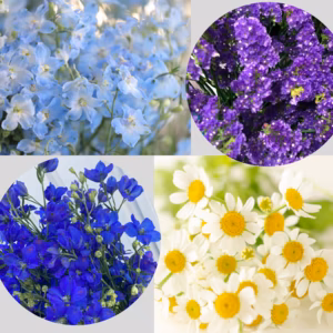 【6月～11月までの定期便】4種のお花の定期便