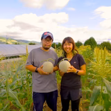 松本雅昭 | 松本メロン農園