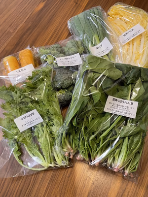 みんなの投稿の画像