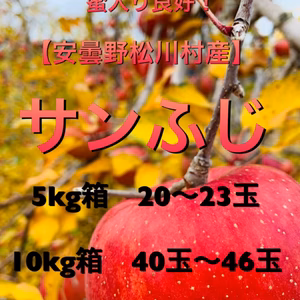 ★蜜入良好★安曇野松川村産【サンふじ】5k,10k
