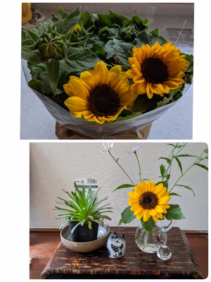 みんなの投稿の画像