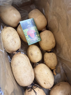 みんなの投稿の画像