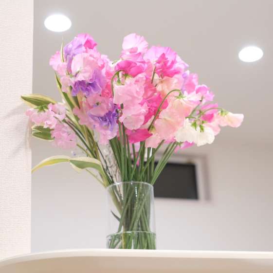 甘い香り キレイな発色 スイートピー1束50本セット 農家漁師から産地直送の通販 ポケットマルシェ