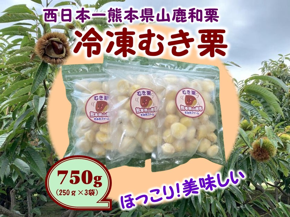 ホクホク甘さ凝縮！『冷凍むき栗』山鹿和栗500g～1kg｜栗（くり