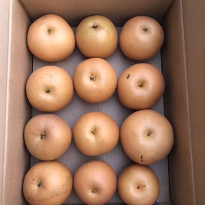 バラ詰めあきづき梨