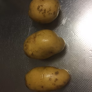 じゃがいも 男爵とメイクイン