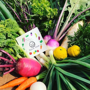 隔週・定期便【３～５人向け】渥美半島から旬と彩りの野菜セット