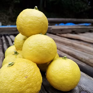 初物★花ゆず★自然栽培 サイズ混合およそ2kg（箱の重さ込み）