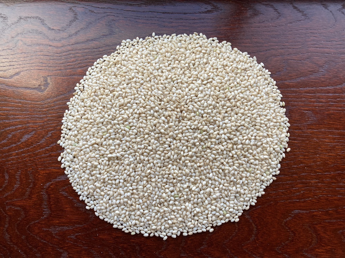 自然栽培】ハッピーヒルもち米 玄米９５０g 農薬不使用・無肥料栽培 令