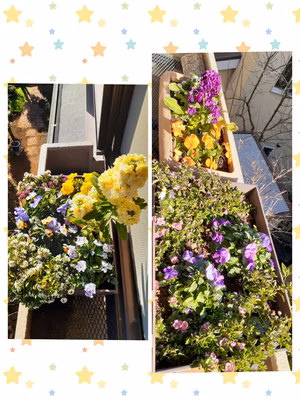 みんなの投稿の画像