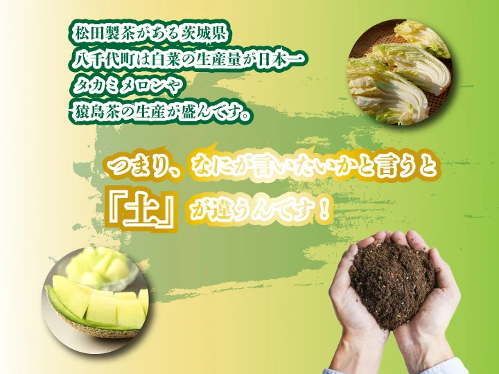 お茶 業務用 水出し ステビア 和紅茶 ティーバック【3個以上10％引き】お得