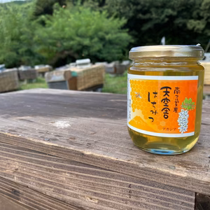 南アルプスの里山採取のアカシアはちみつ300g本数etc.