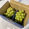 【今季最後のシャイン】ご家庭用 完熟シャインマスカット詰合せパック