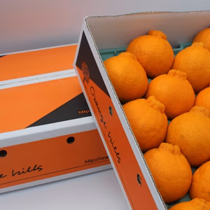 【数量限定】五代目デコ　