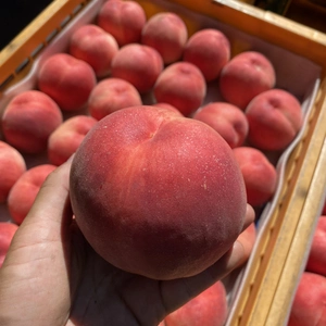 桃で猛暑を乗り切ろう❗️クール便✨品種おまかせ果汁たっぷりな桃
