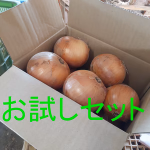 お試し　淡路島産玉ねぎ2.5ｋｇ