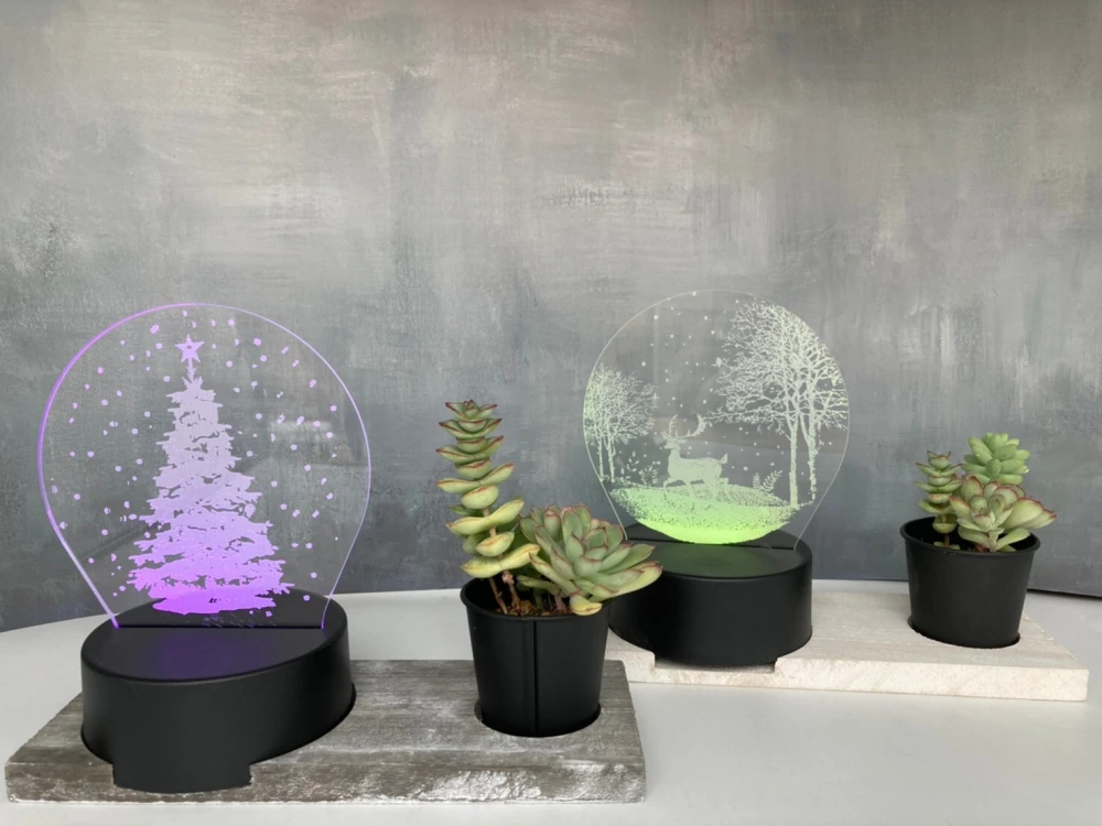 カラフルに光るLEDと多肉のセット！クリスマス・カラフルタッチ（4パターンセット