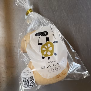 野菜ソムリエサミット【最高金賞】受賞‼️全国トップレベルのレンコン！