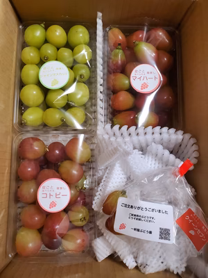 みんなの投稿の画像