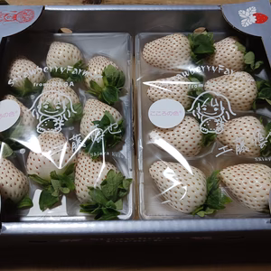 超希少品種　✴こころの色✴