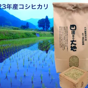 新米！コシヒカリ玄米5㎏　2023年度