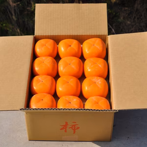 さっくり甘い！たねなし柿　奈良県産