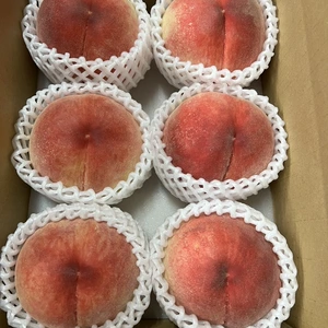 売り切れ間近❗️いにしえからの山梨県産の大玉桃浅間白桃が美味しく旬となりました！