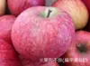 【訳あり】【欲ばり！旬りんご2種詰合せセット】パリパリ・ジューシー家庭用