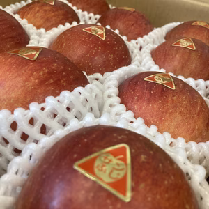 岩手県産りんごの王様、食感が特徴サンふじ　