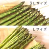 春どりアスパラ【食べ比べセット】極太3Ｌ・Ｌサイズ