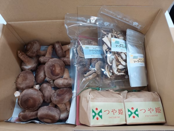 新鮮生しいたけ＆旨味たっぷり乾燥しいたけ詰め合わせセット