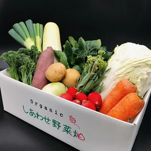 オーガニック野菜セット「常温便」（有機JAS認証・JGAP認証　有機野菜）　