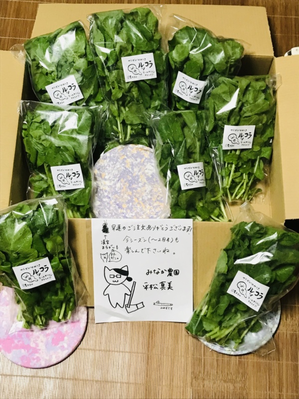 ルッコラが死ぬほど食べられる ルッコラ10袋 農家漁師から産地直送の通販 ポケットマルシェ