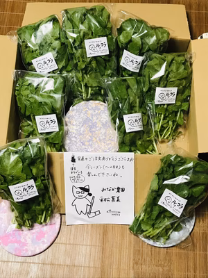 みんなの投稿の画像