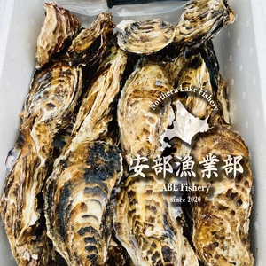 北海道 湧別産　2年牡蠣殻付き　生食用