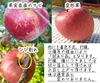 【家庭用】シナノスイート 訳あり品 ～ 長野県産りんご