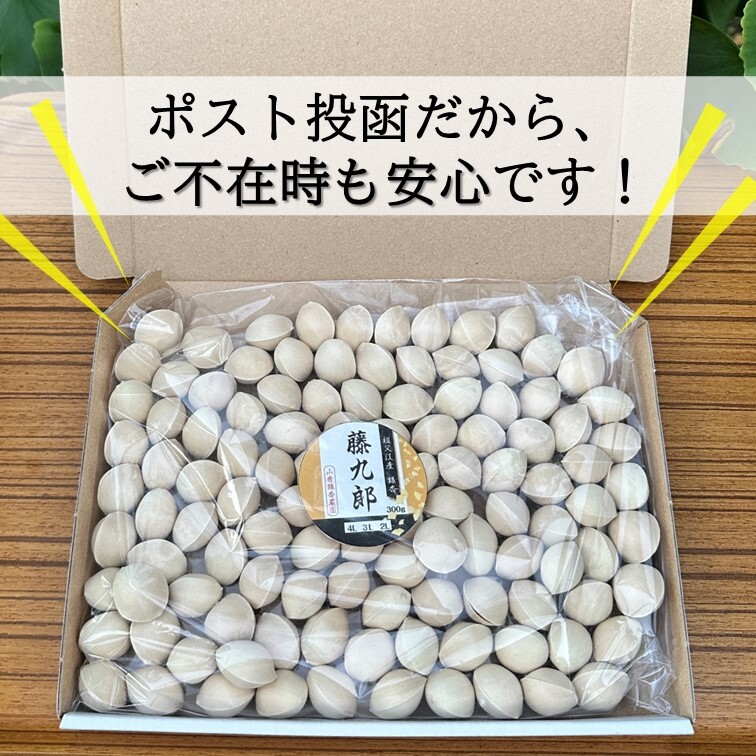藤九郎2024年新物 4L 藤九郎 銀杏 祖父江産 3L 4kg