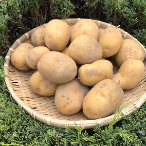 幻の新ジャガ【インカのめざめ】2kg