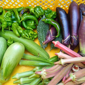 夏野菜　2種類詰め合わせ　自然栽培　自家採種