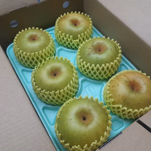 BN-3【自家用】シャリシャリ爽やか「二十世紀」3Kg（８～６玉）