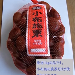 信州　小布施栗　早生種　L玉　1キロ～　