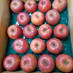 長野県飯綱産(旧牟礼村) サンふじ家庭用  小玉