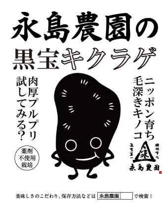 生黒宝きくらげ